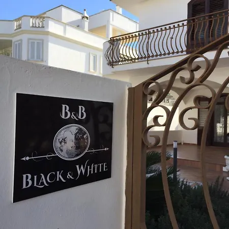 Black-and-white 4*