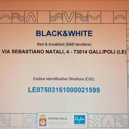 Black-and-white Bed & Breakfast 4*