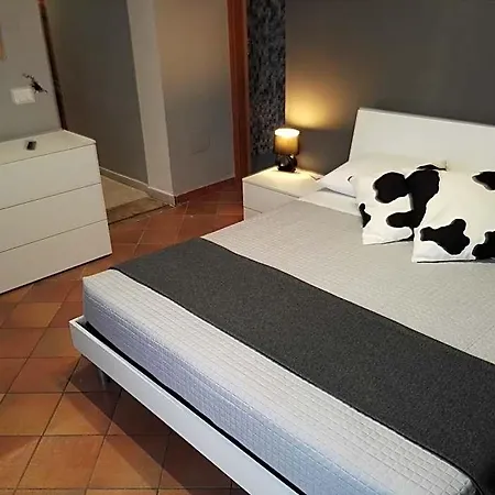 Black-and-white Bed & Breakfast 4*