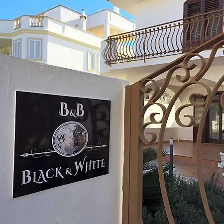 Black-and-white Gallipoli